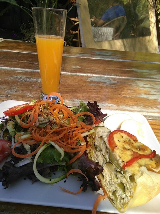 Màlaga - Le jardin botanique et historique de la Concepción