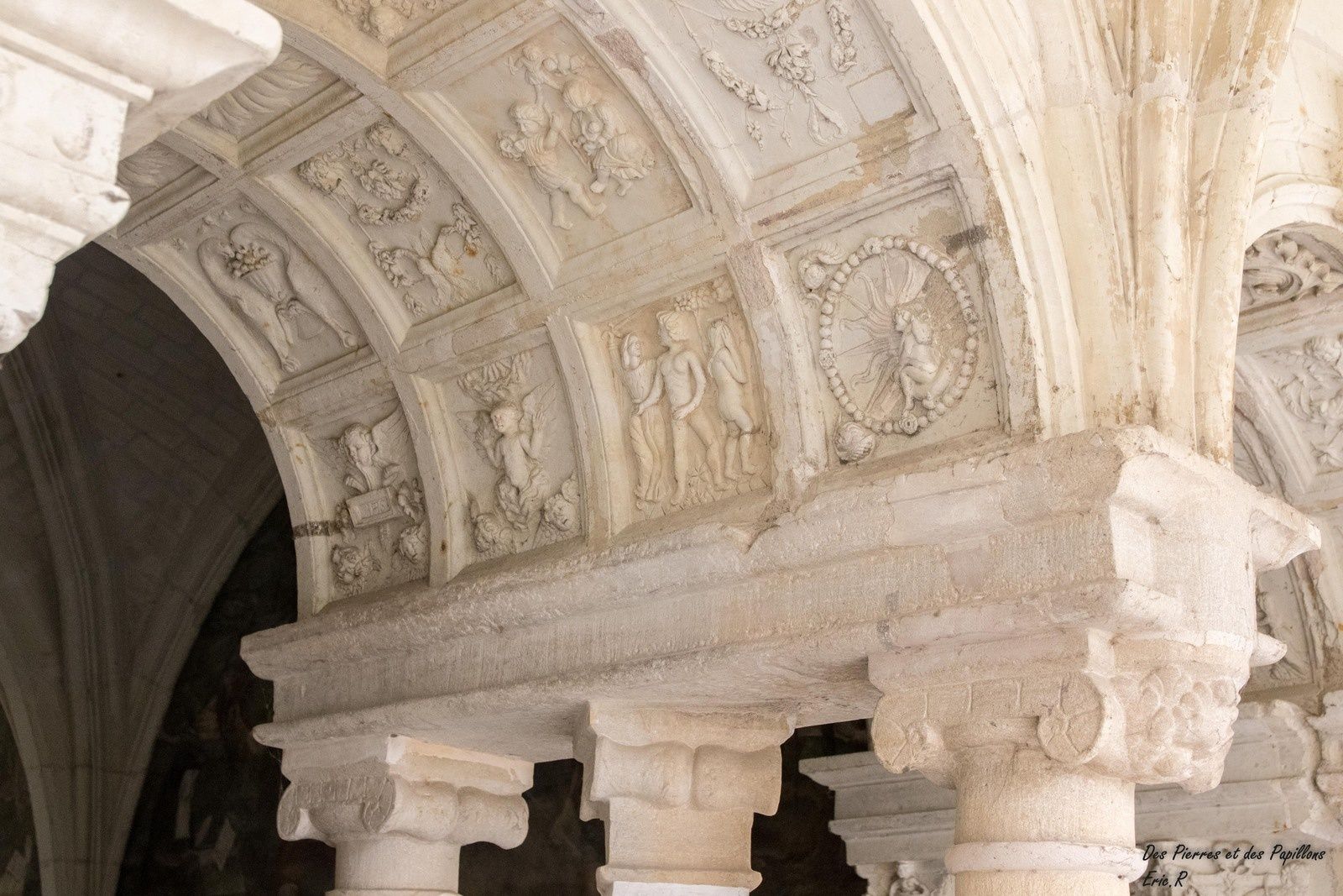 Visite à l'abbaye royale Notre-Dame de Fontevraud.