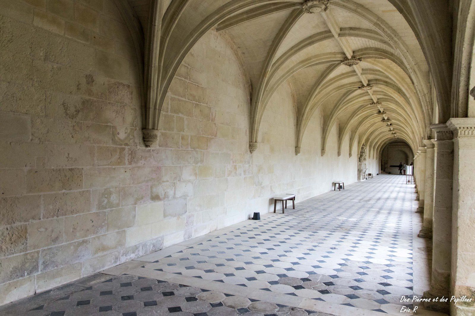 Visite à l'abbaye royale Notre-Dame de Fontevraud.