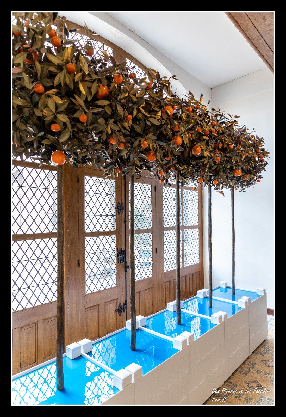 Le château de Chaumont-sur-Loire et le Festival des jardins !