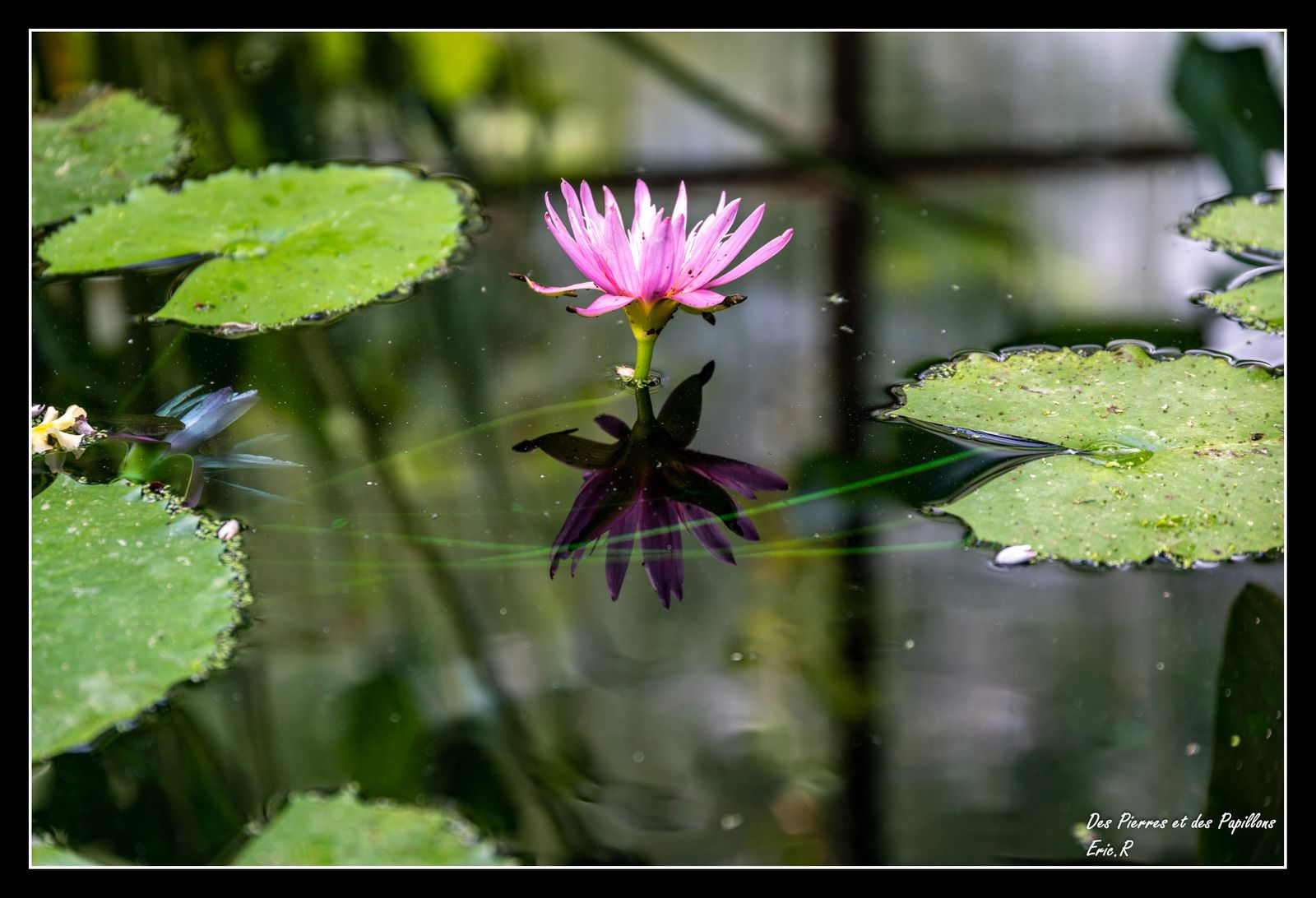 Equipes du domaine de Chaumont