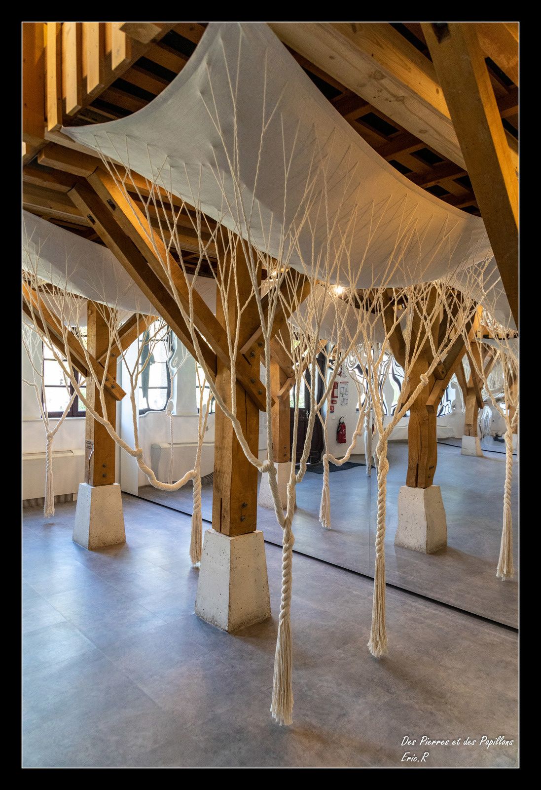 Janaina Mello Landini (Brésil) - Ciclotrama