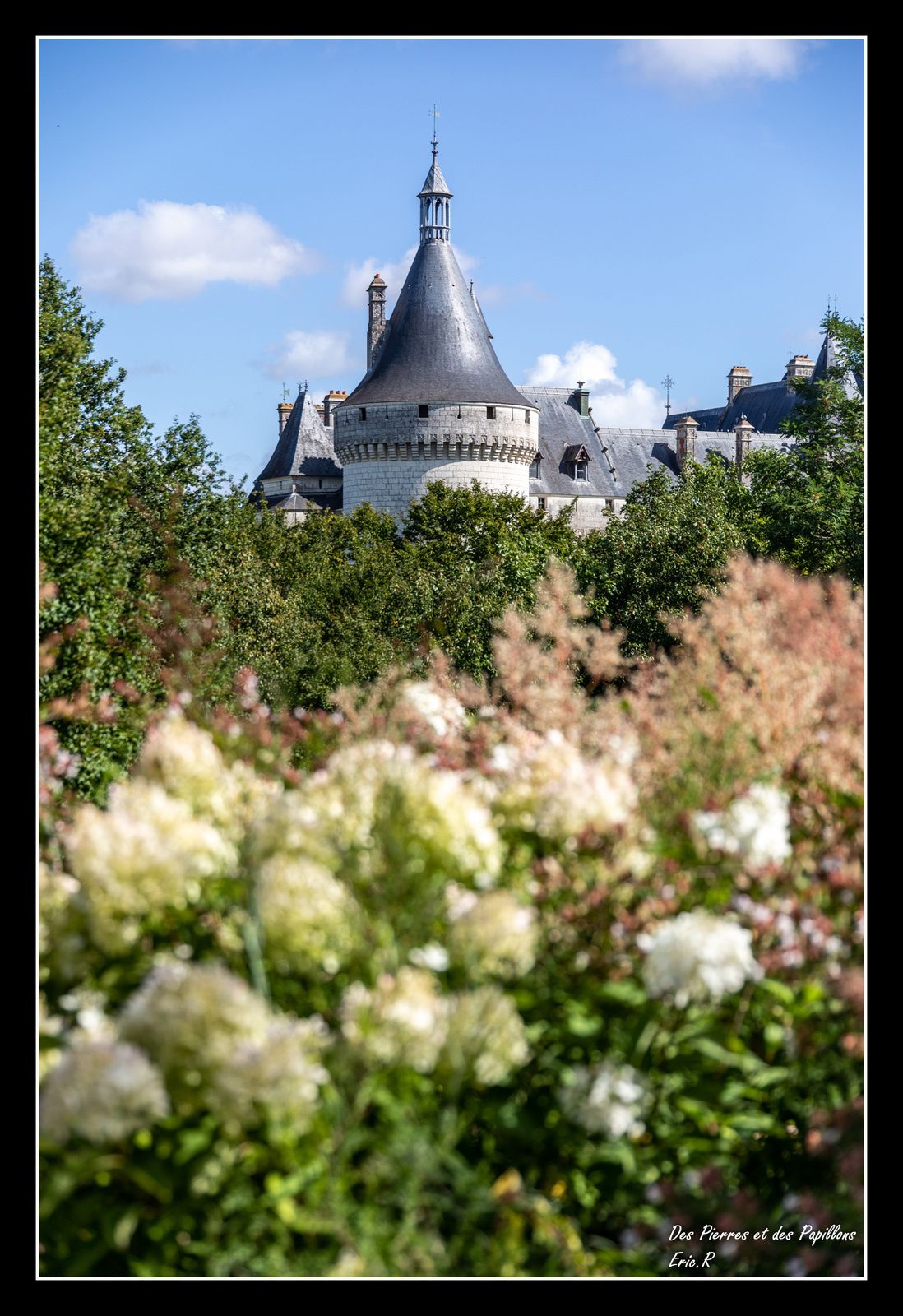 Le château depuis les jardins
