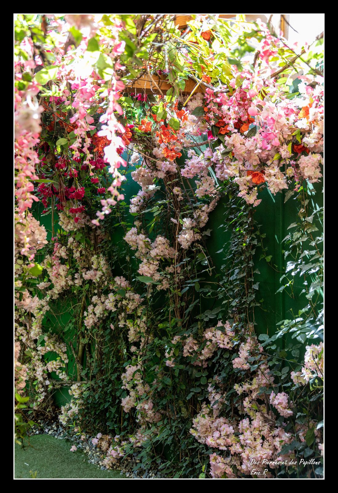 Philippe Colignon - David Bitton (Fr) / Eden