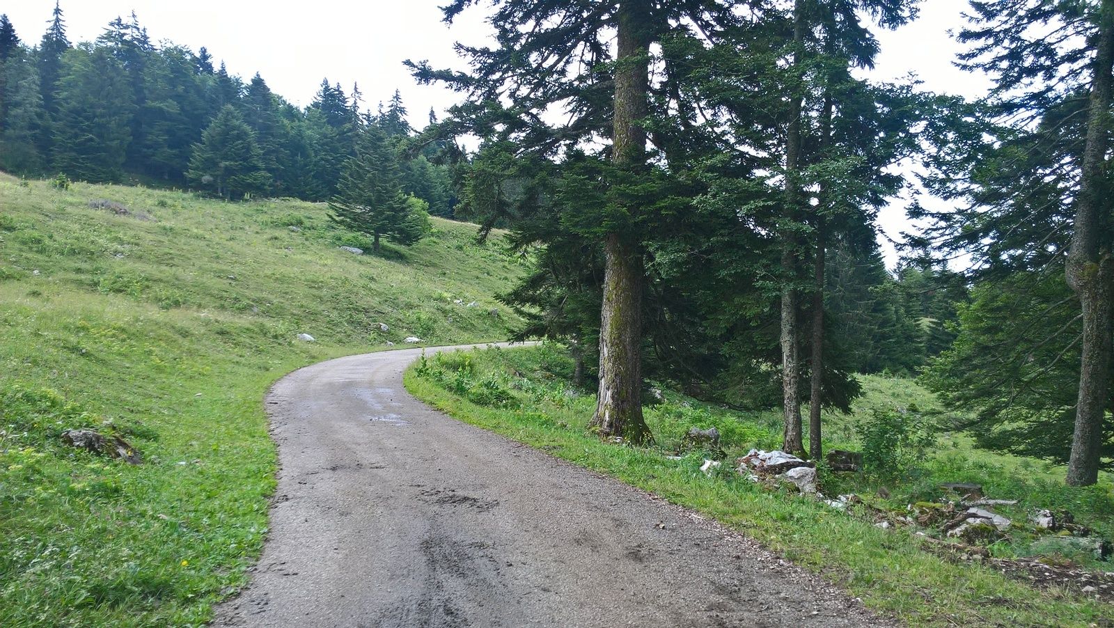 2 juillet 2017 - Les 3 bosses gessiennes