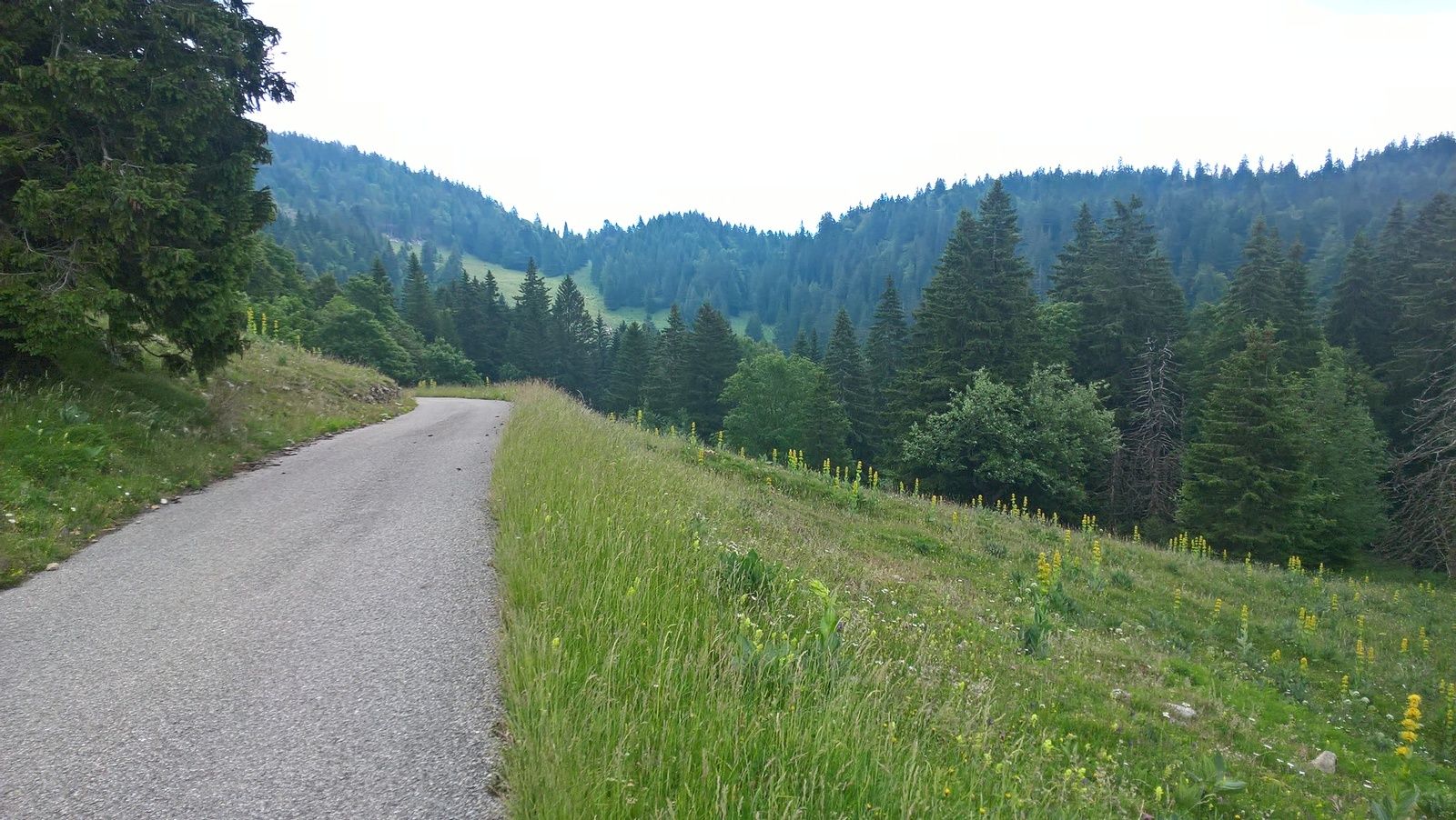 2 juillet 2017 - Les 3 bosses gessiennes