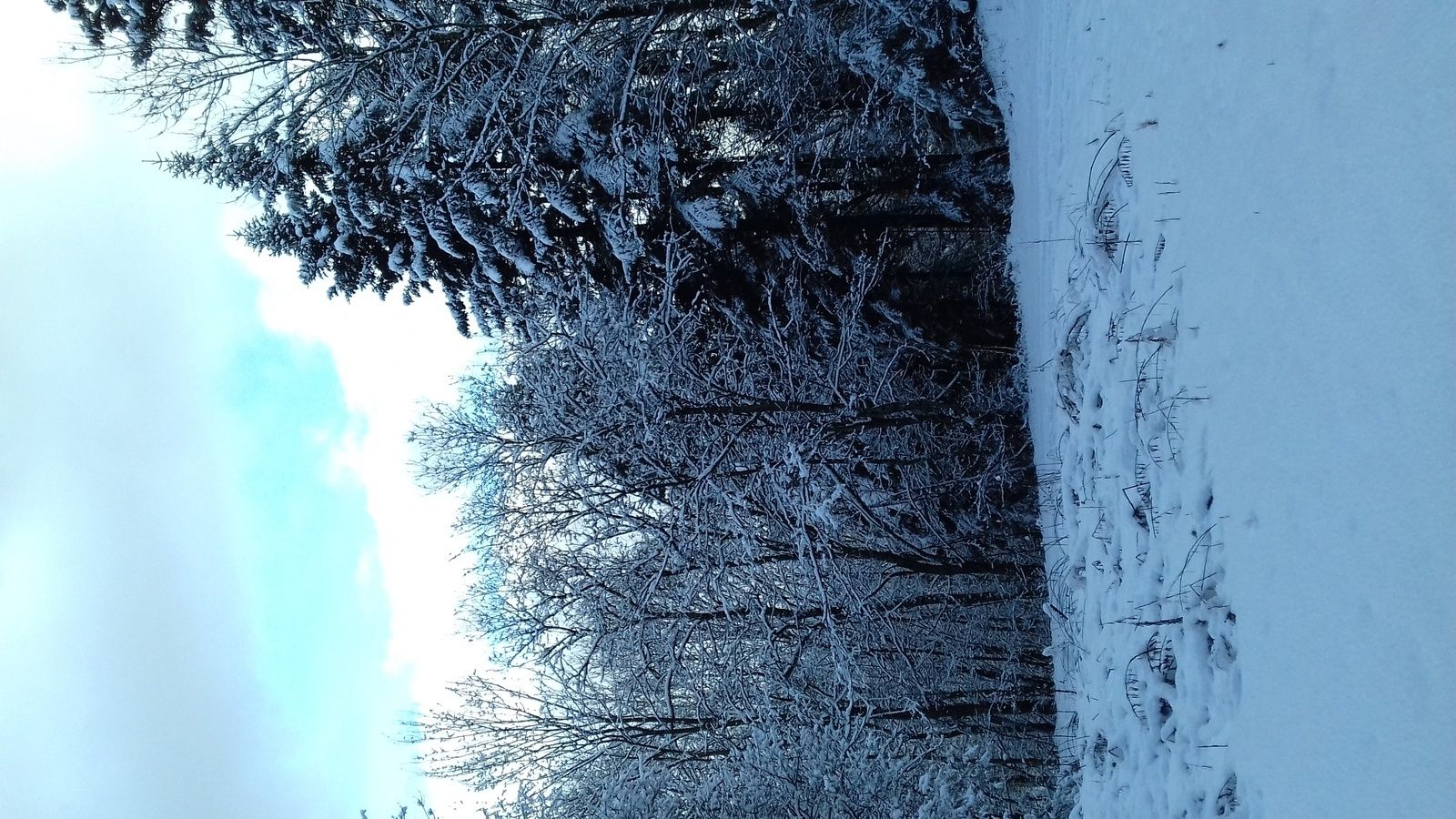 16 décembre 2017 - VTT dans la neige