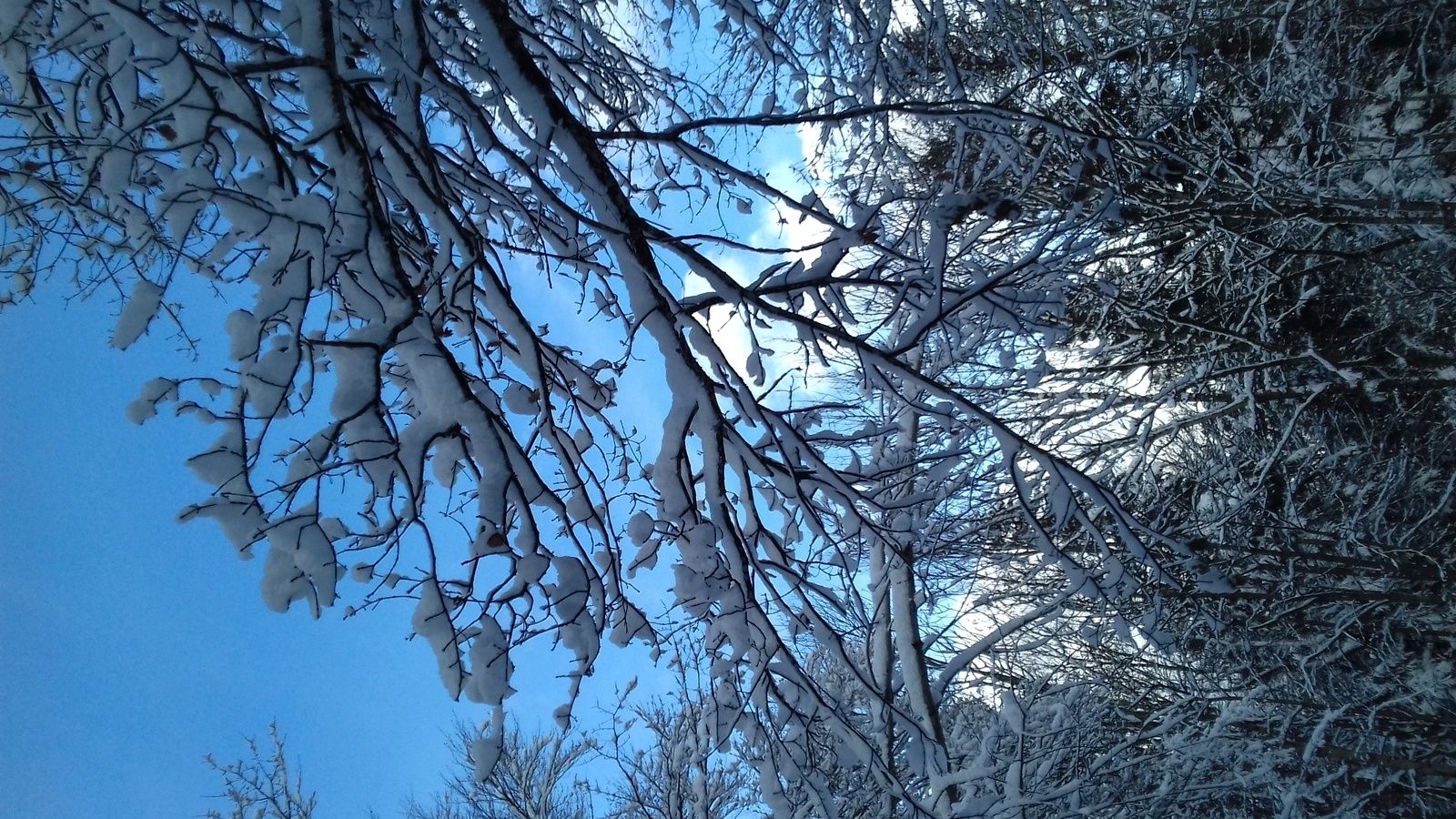 16 décembre 2017 - VTT dans la neige