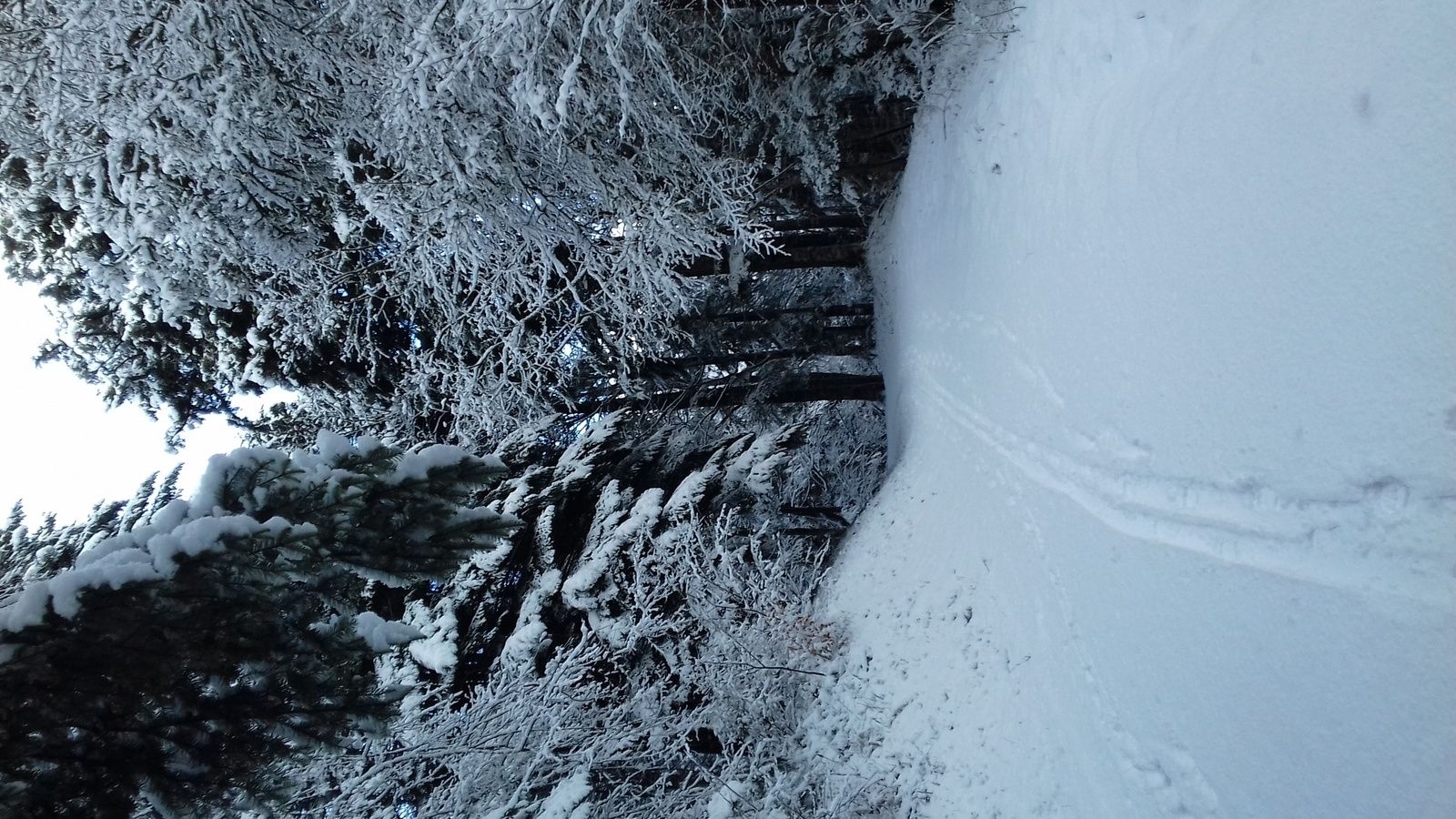 16 décembre 2017 - VTT dans la neige