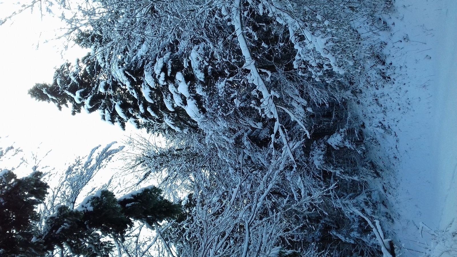 16 décembre 2017 - VTT dans la neige