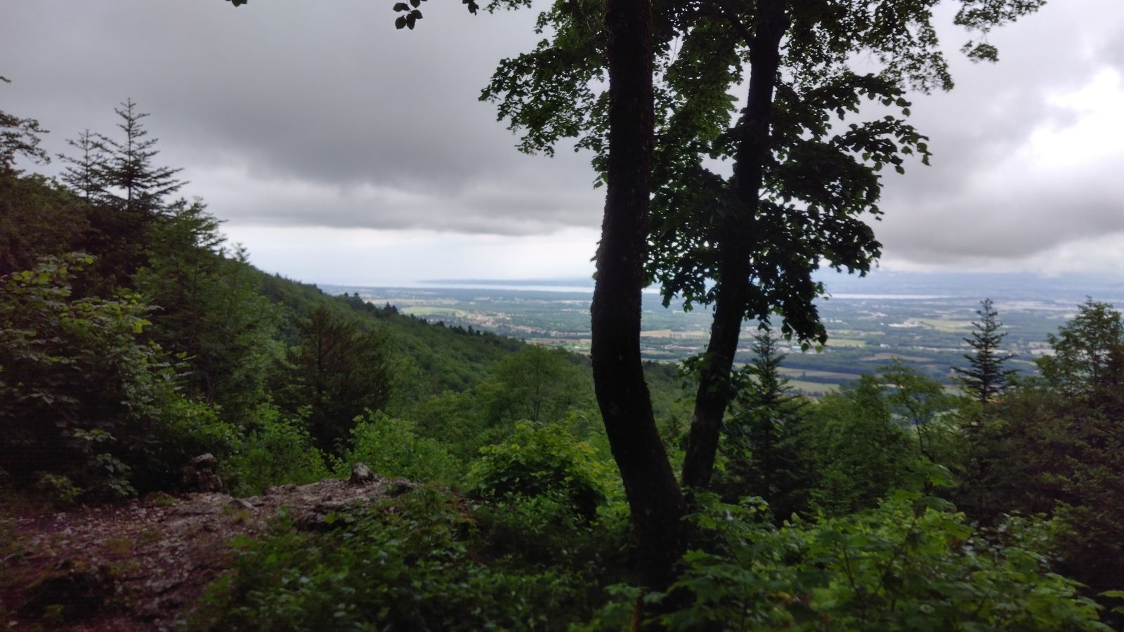 Juin humide, #wetgravelparadize