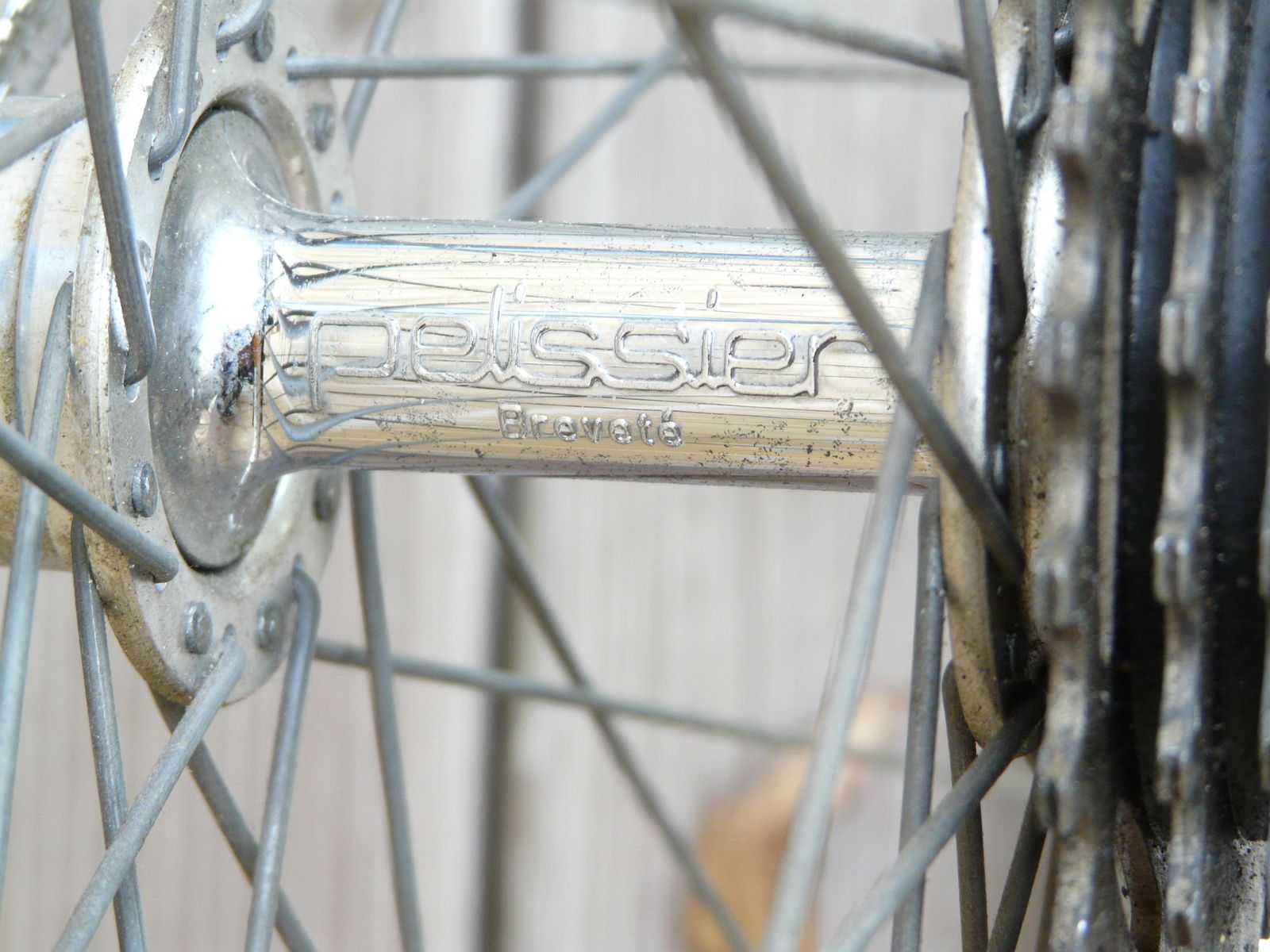 Velo bernard 2025 dangre