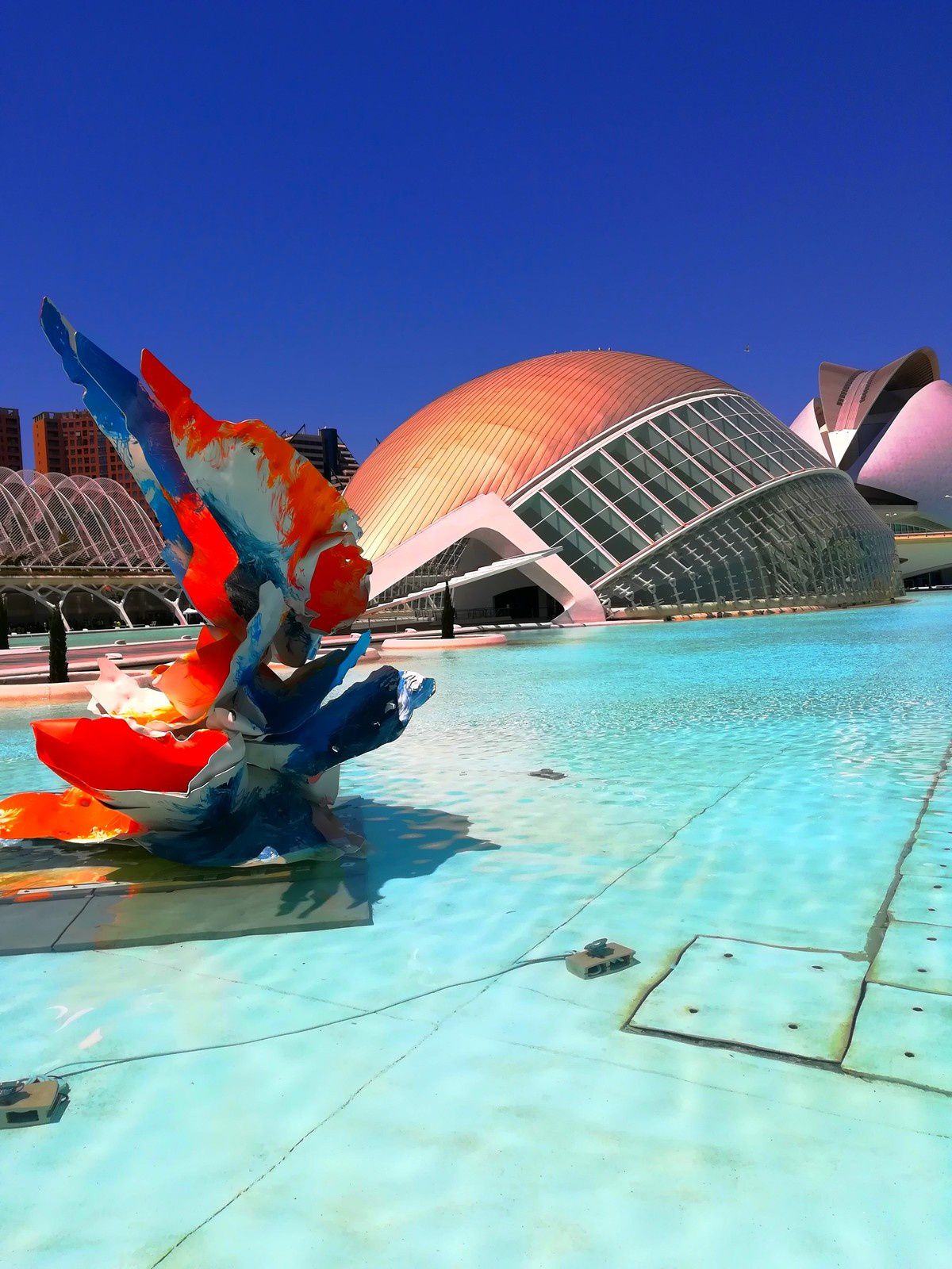 La Cité Des Arts Et Des Sciences De Valence - Les Randos De Caco