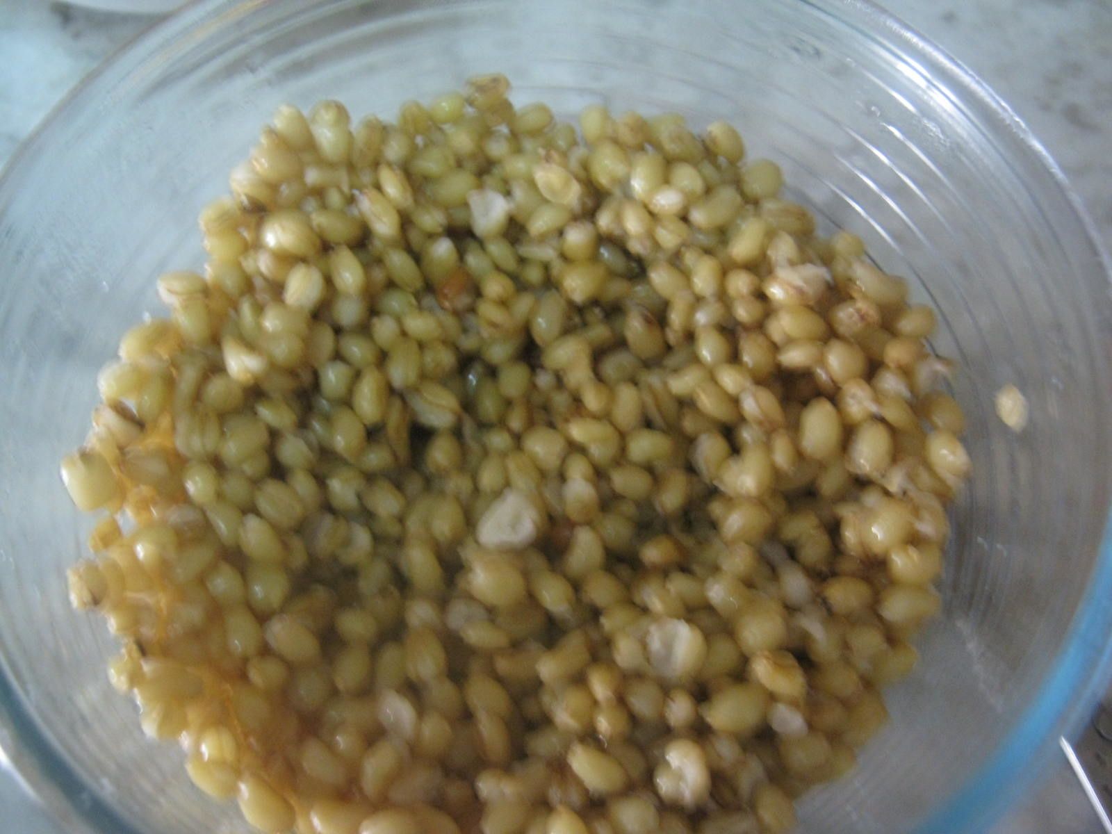 SALADE DE BLÉ AUX LÉGUMES