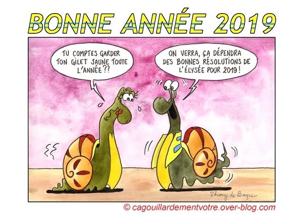 Bonne Annee 2019 Cagouillardement Votre