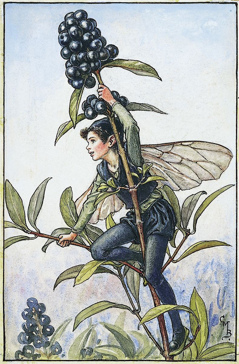 La liberté est un fruit