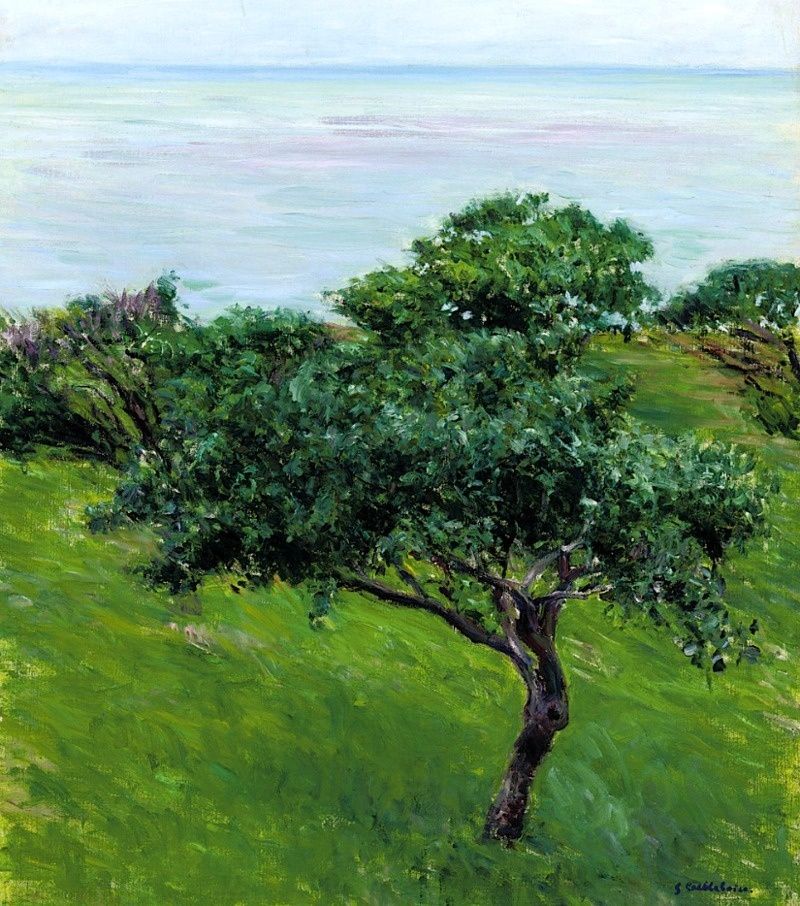 Par Chaumot — Travail personnel, CC BY-SA 4.0, https://commons.wikimedia.org/w/index.php?curid=52655780