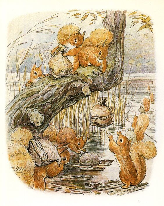 dessin de Beatrix Potter