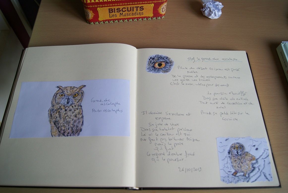 Olaf le grand-duc ascalaphe