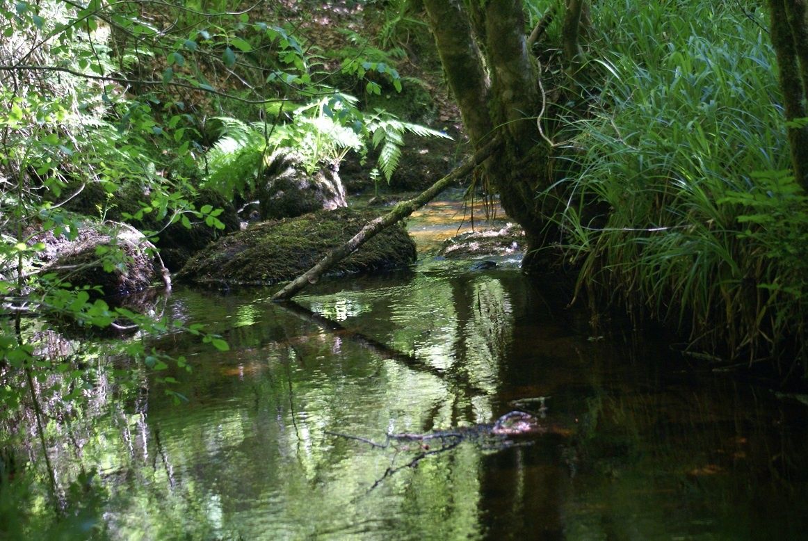 Trois souffles de liberté