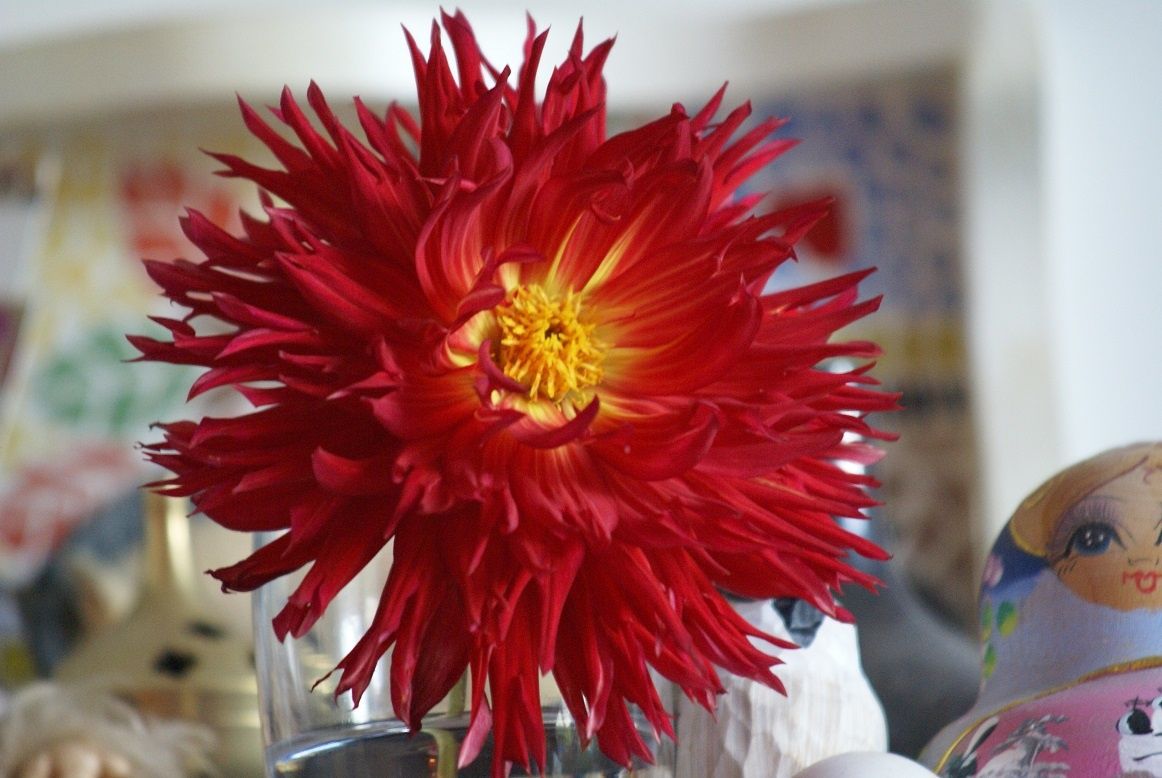 Incendie de novembre