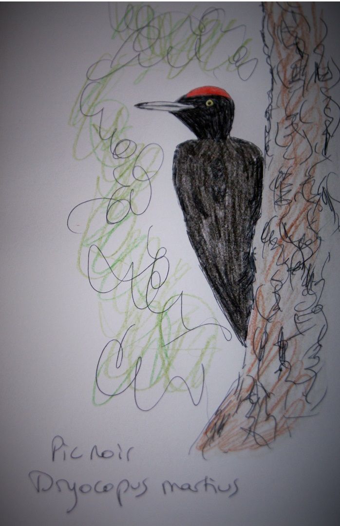 Le pic noir