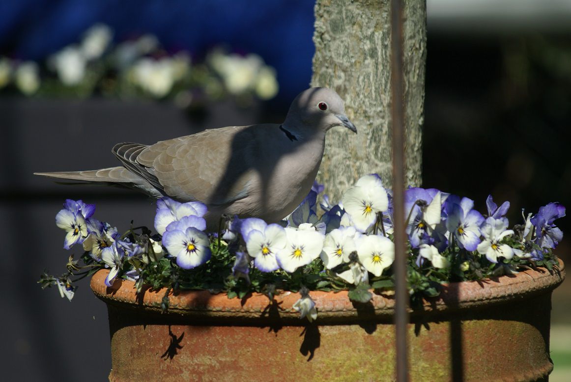 Son regard d’enfant
