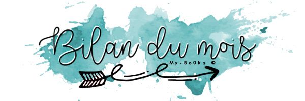Bilan du mois décembre
