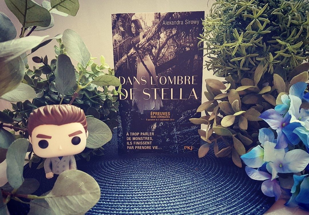 Dans l'ombre de Stella - Alexandra Sirowy