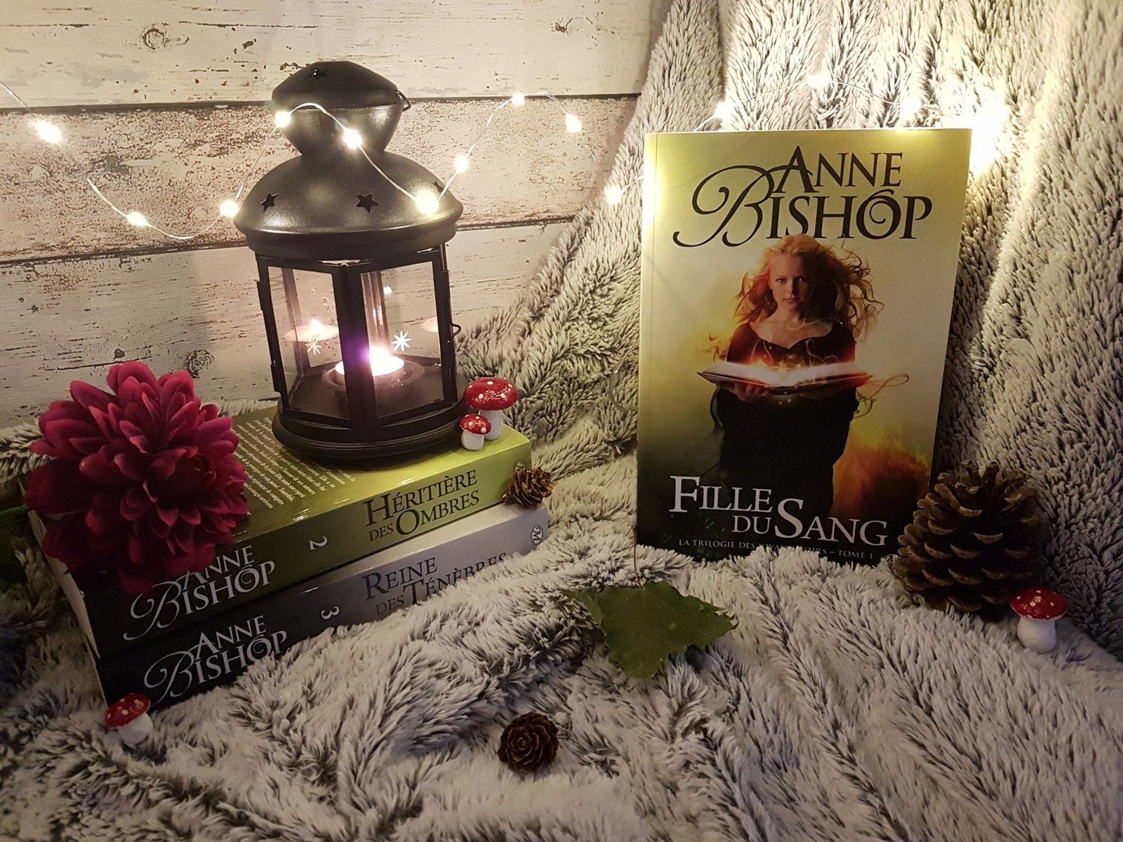 La Trilogie des Joyaux Noirs, tome 1 : Fille du Sang - Anne Bishop
