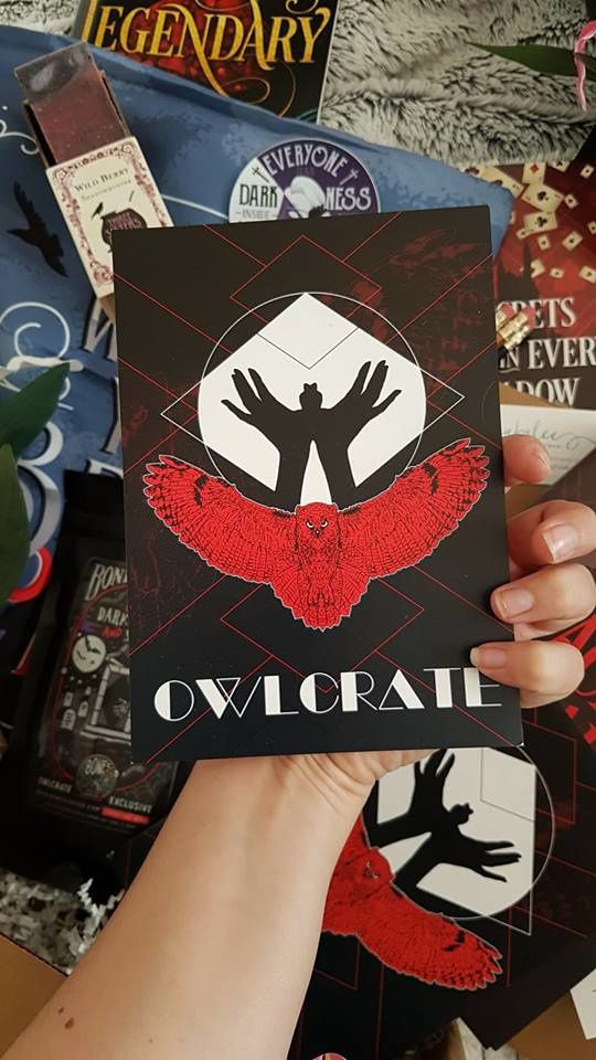 Unboxing OwlCrate