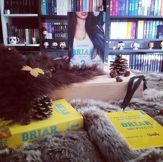 Briar Université, Tome 2 : The Risk - Elle Kennedy