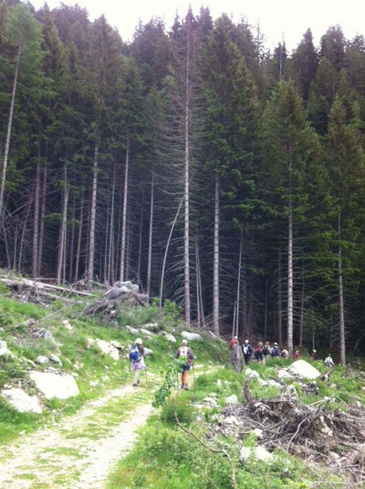Séjour de St Martin Vésubie : 24-27 Juin 2013