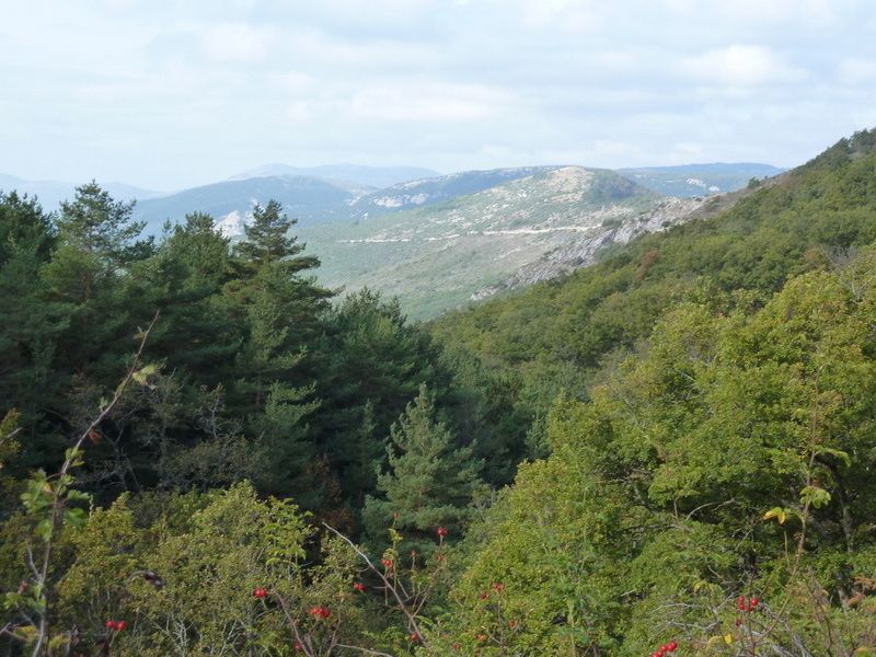 St.Vallier-L'Oppidum de la Malle