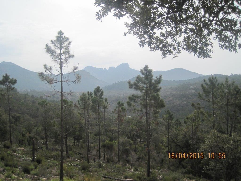 Le Pic du Cap Roux : 16 avril 2015