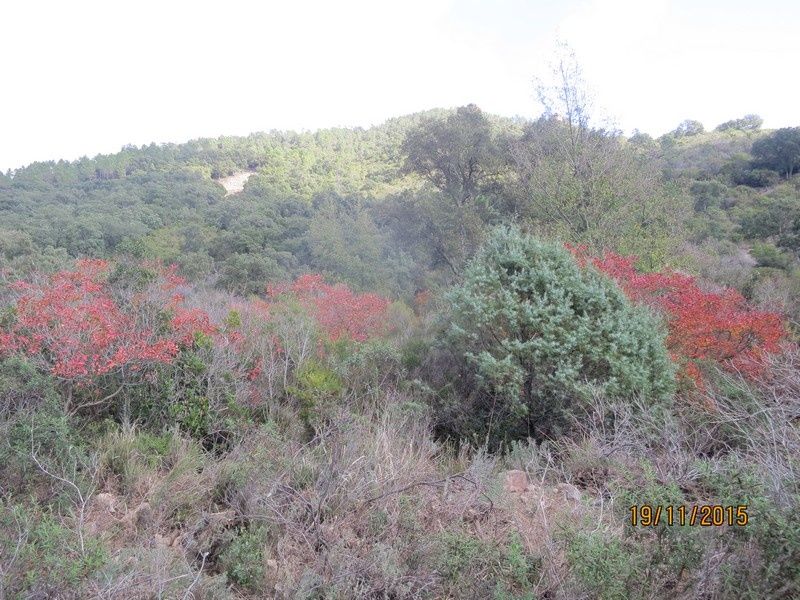 Lac de la Prison - 19 Novembre 2015 - circuit petites jambes