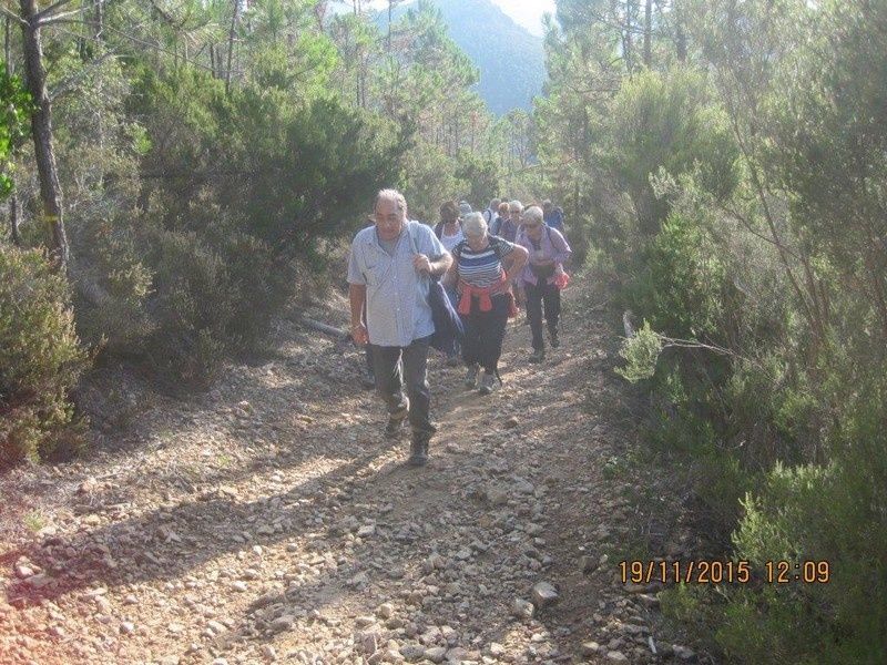Lac de la Prison - 19 Novembre 2015 - circuit petites jambes