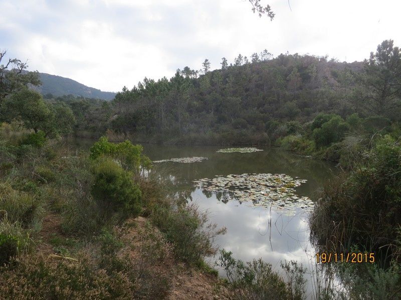 Lac de la Prison - 19 Novembre 2015 - circuit petites jambes