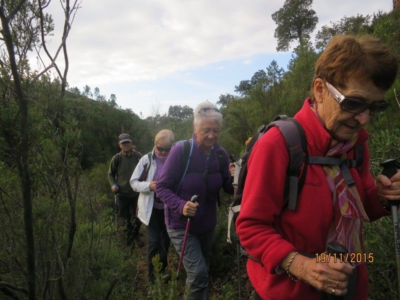 Lac de la Prison - 19 Novembre 2015 - circuit petites jambes