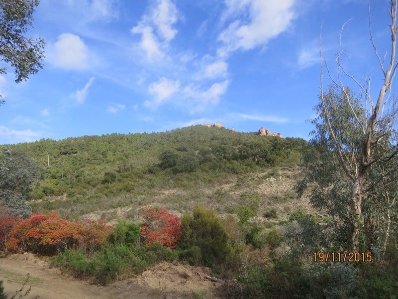 Lac de la Prison - 19 Novembre 2015 - circuit petites jambes