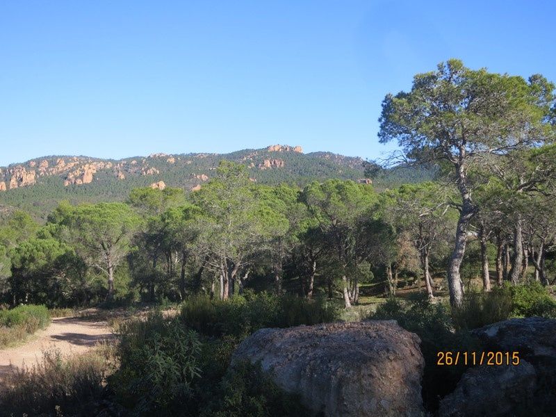 Jusqu'au Blavet en passant par la forêt Raphele - 26/11/2015