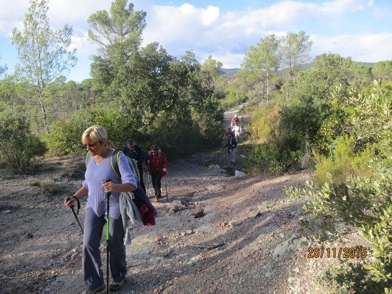 Jusqu'au Blavet en passant par la forêt Raphele - 26/11/2015