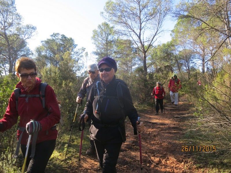 Jusqu'au Blavet en passant par la forêt Raphele - 26/11/2015