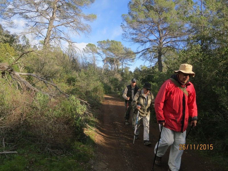 Jusqu'au Blavet en passant par la forêt Raphele - 26/11/2015