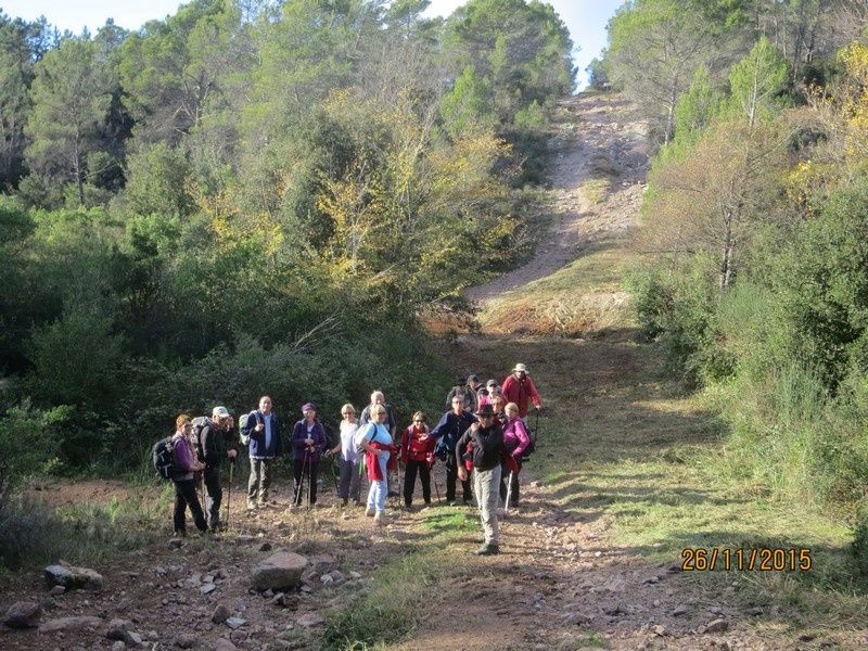 Jusqu'au Blavet en passant par la forêt Raphele - 26/11/2015