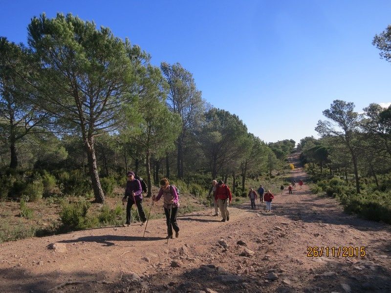 Jusqu'au Blavet en passant par la forêt Raphele - 26/11/2015