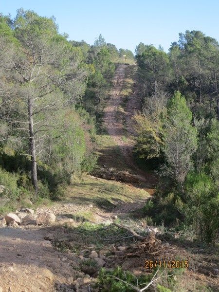Jusqu'au Blavet en passant par la forêt Raphele - 26/11/2015