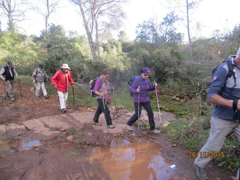 Jusqu'au Blavet en passant par la forêt Raphele - 26/11/2015