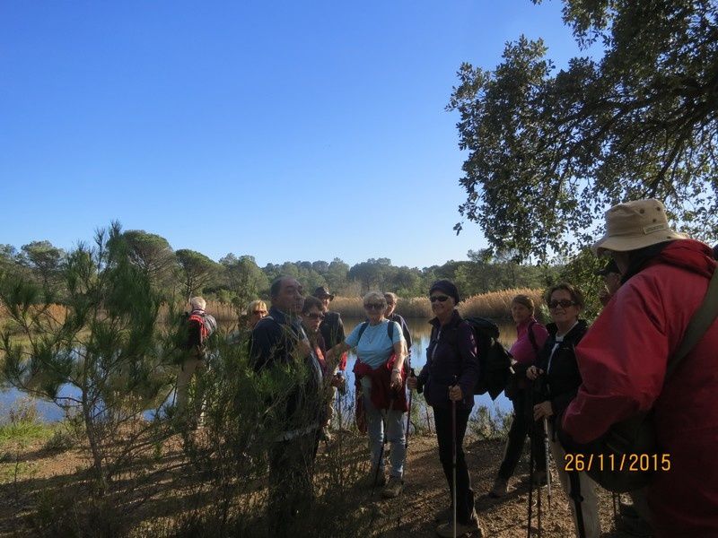 Jusqu'au Blavet en passant par la forêt Raphele - 26/11/2015