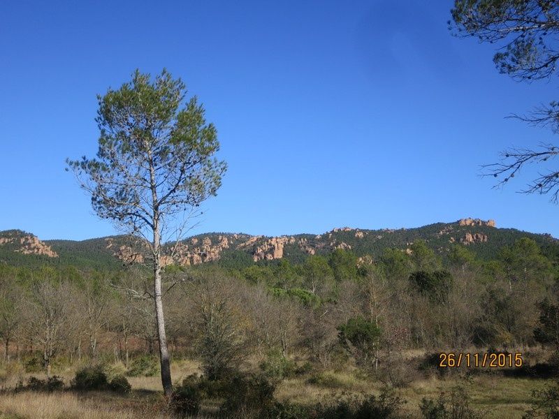 Jusqu'au Blavet en passant par la forêt Raphele - 26/11/2015